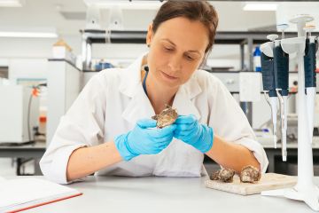 Dr Carmel McDougall
