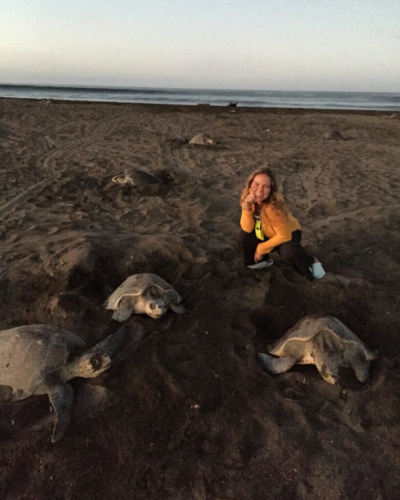 Berta pictured on a beach filled with sea turtles as part of her work on a conservation project in Costa Rica.