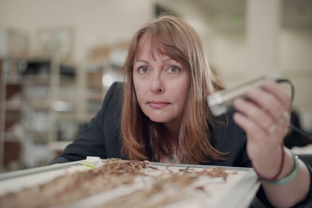 Professor Sabine Hyland studying a khipu with a hand-held microscope. 