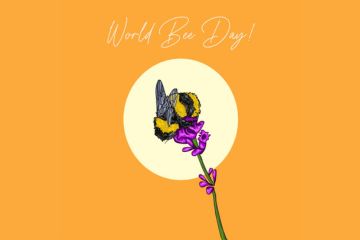 The image shows a bee pollinating a purple flower against a pale yellow circle. The background is orange. The text reads World Bee Day