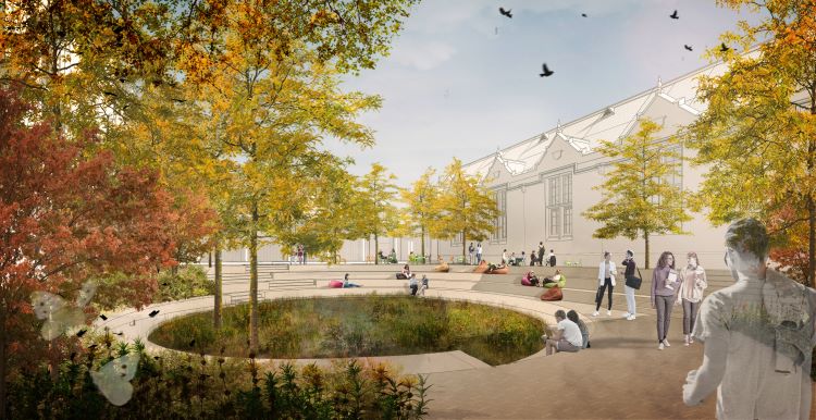 An architect's drawing of an outdoor courtyard garden space with trees, grass and tiered seating.